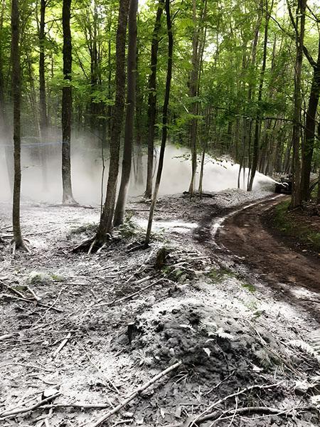 Traitement anti-épidémiologique érables Coaticook
